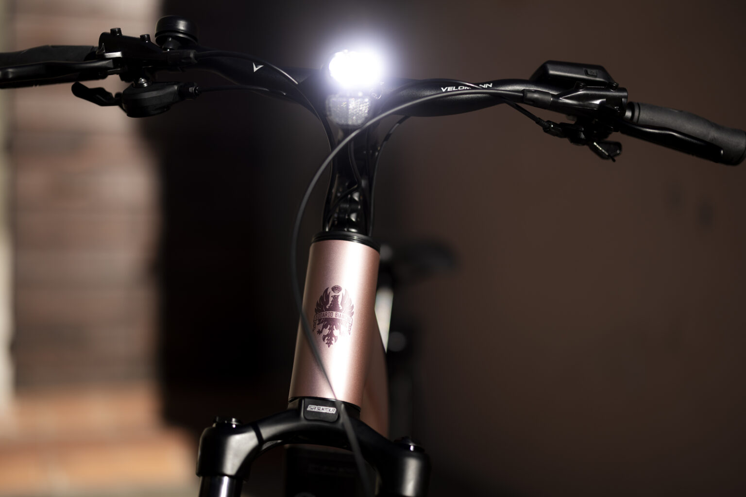 integrated front light