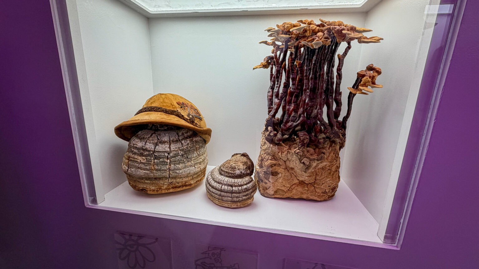 MOTM Mushrooms