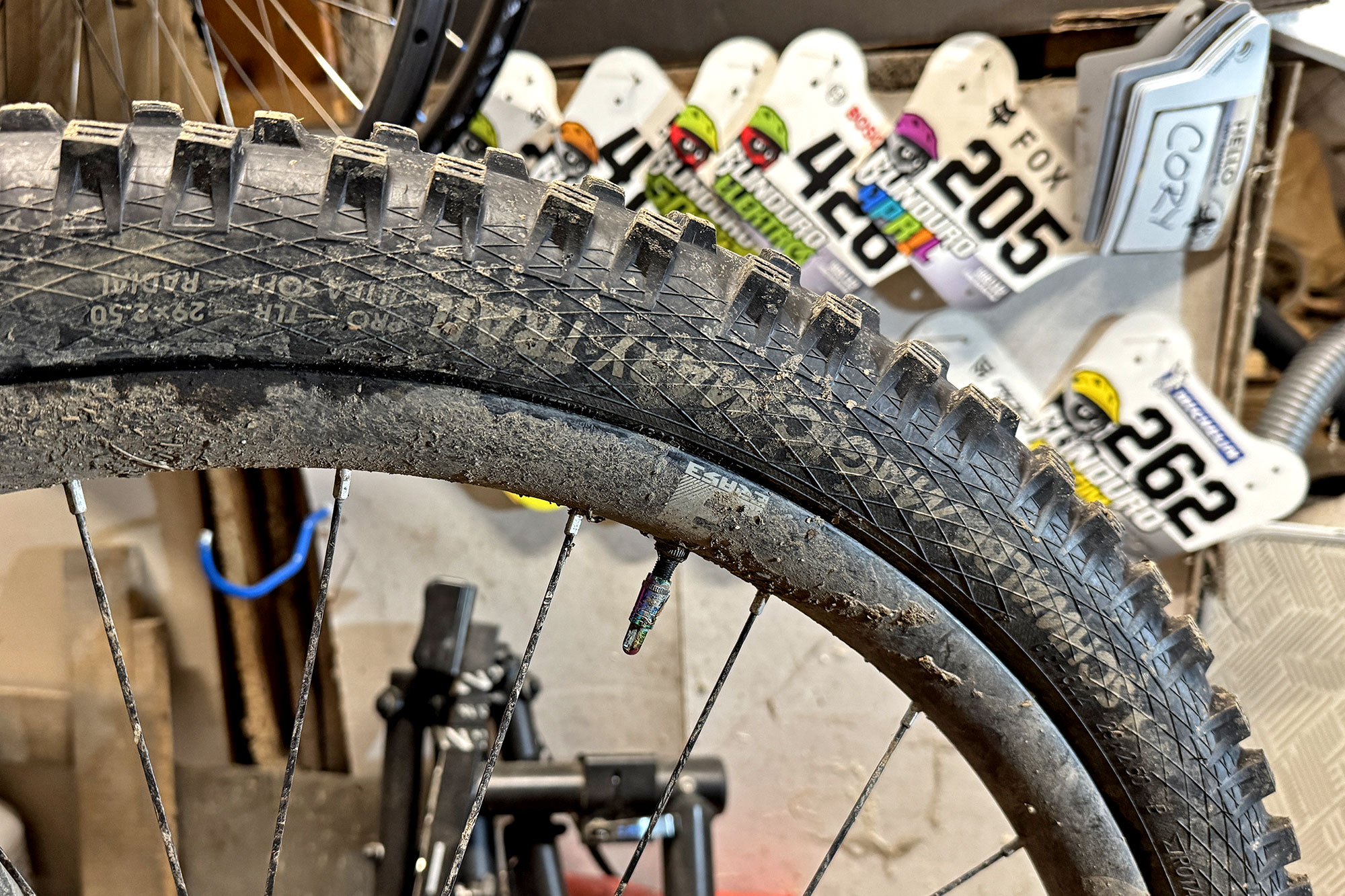 Cory's 2025 Editor's Choice Awards: Schwalbe Magic Mary Radial mountain bike tire