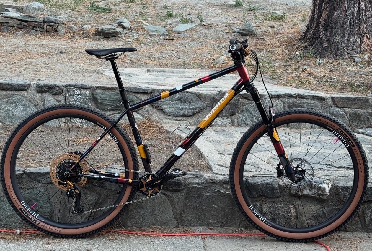2025 Editor's Choice scarab hero