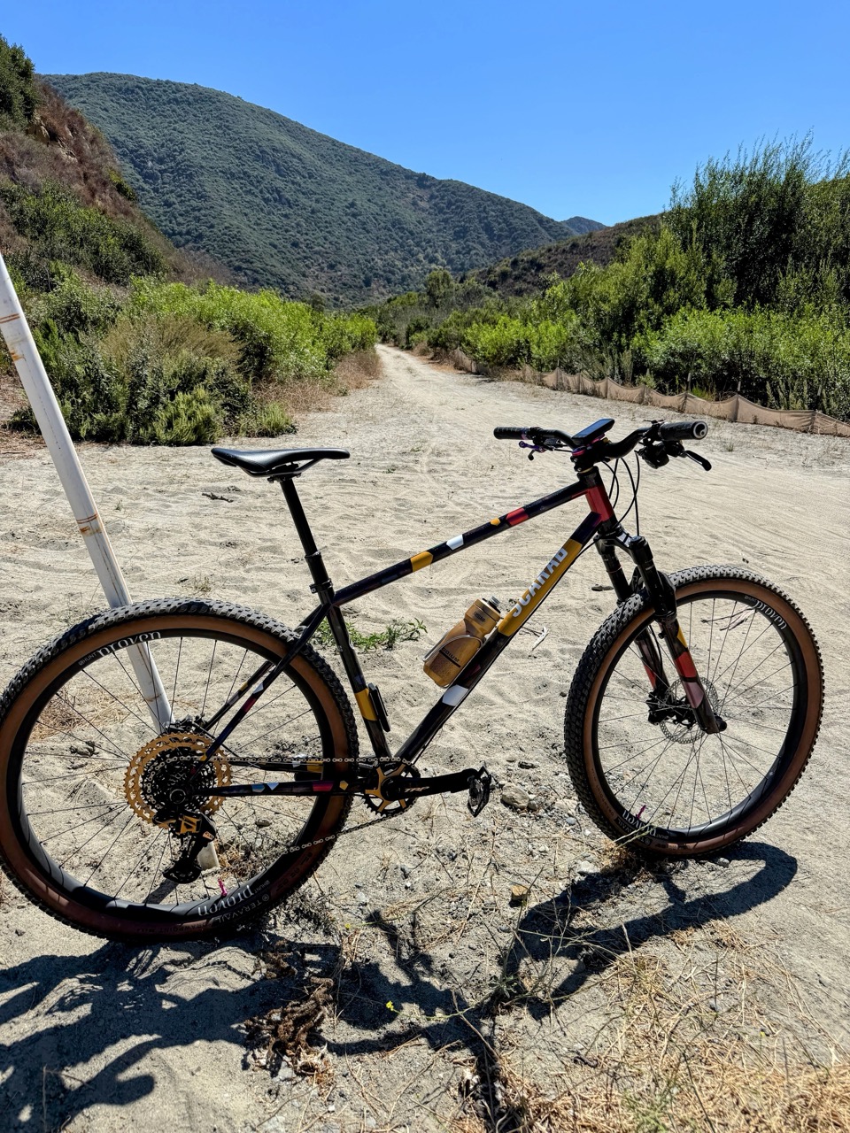 2025 Editor's Choice scarab trail