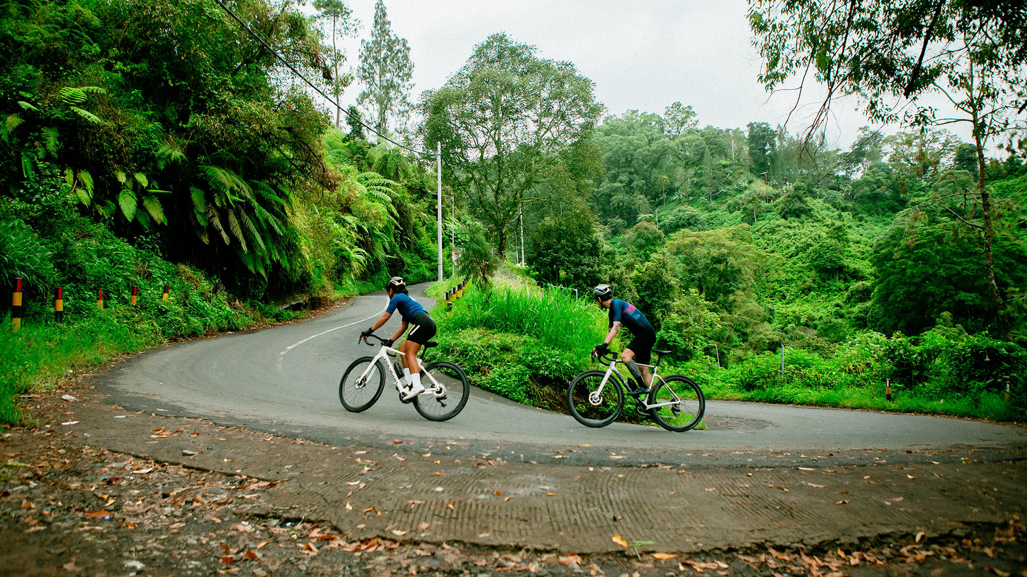 Polygon Strattos C carbon endurance all-road bike, jungle road climbing
