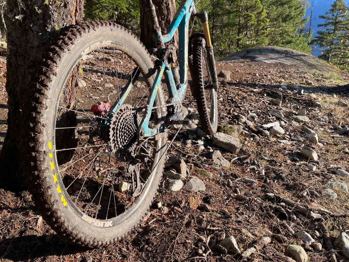 Maxxis Dissector tires, rear on bike