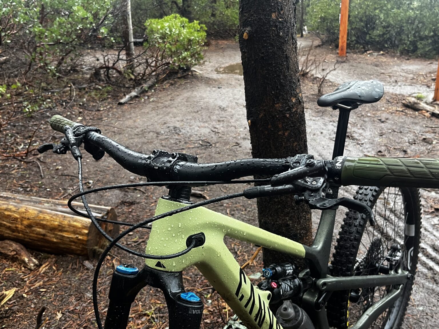 PNW Loam bars