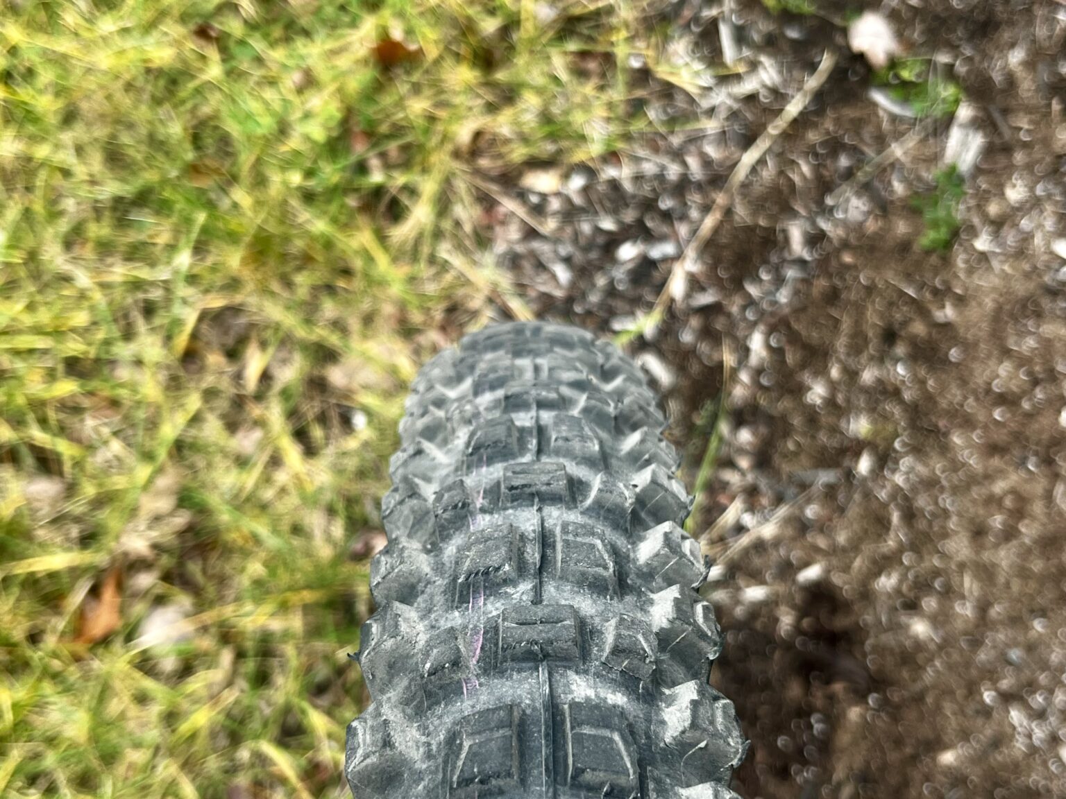 Schwalbe Albert tread pattern