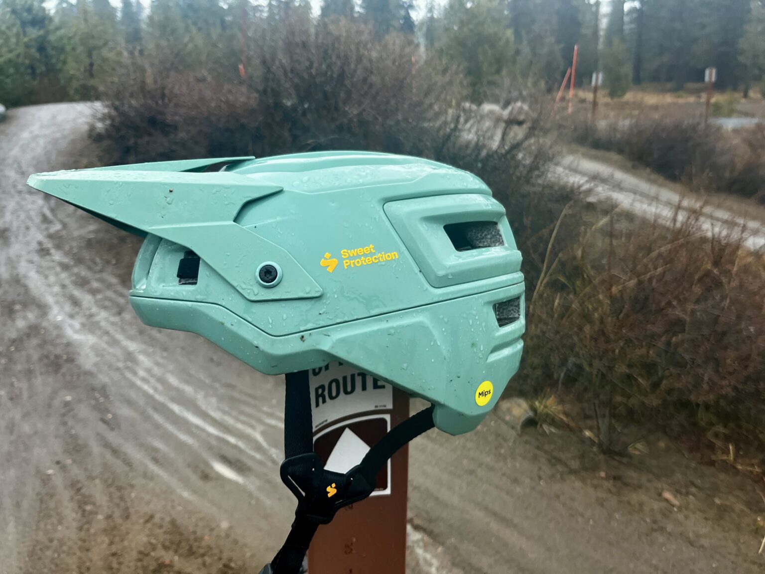 Sweet Protection Bushwacker helmet
