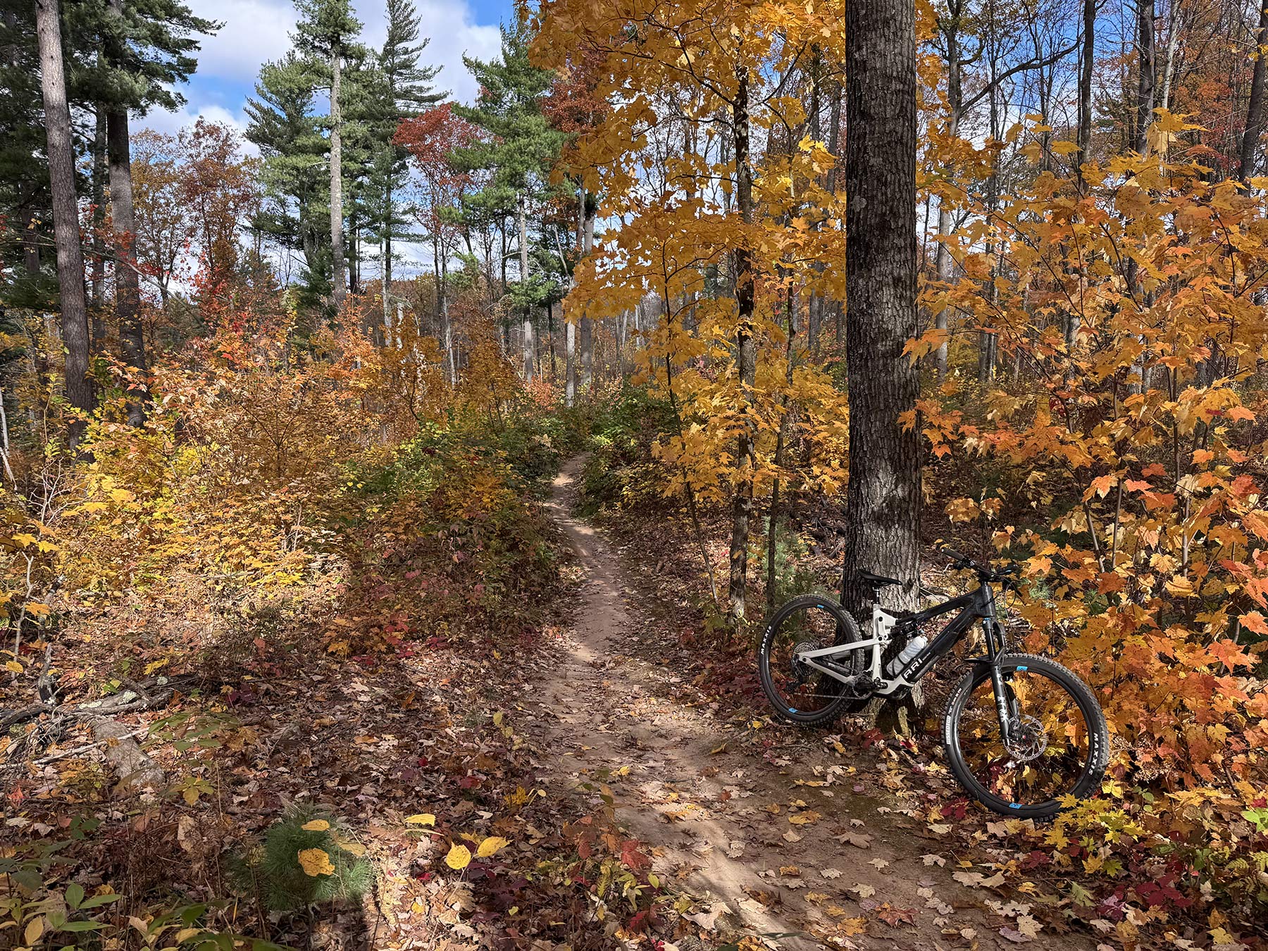 mountain biker riding camba trails in cable wisconsin.