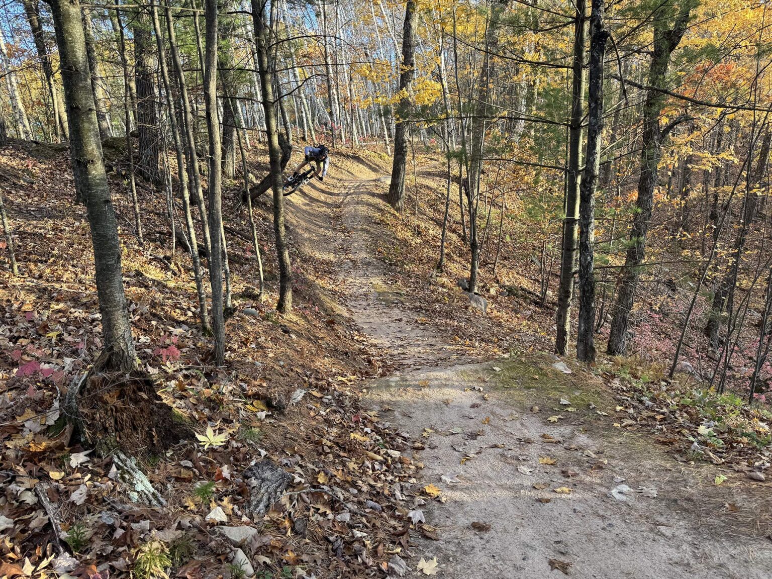 mountain biker riding mt telemark village mountain bike trails in cable wisconsin.
