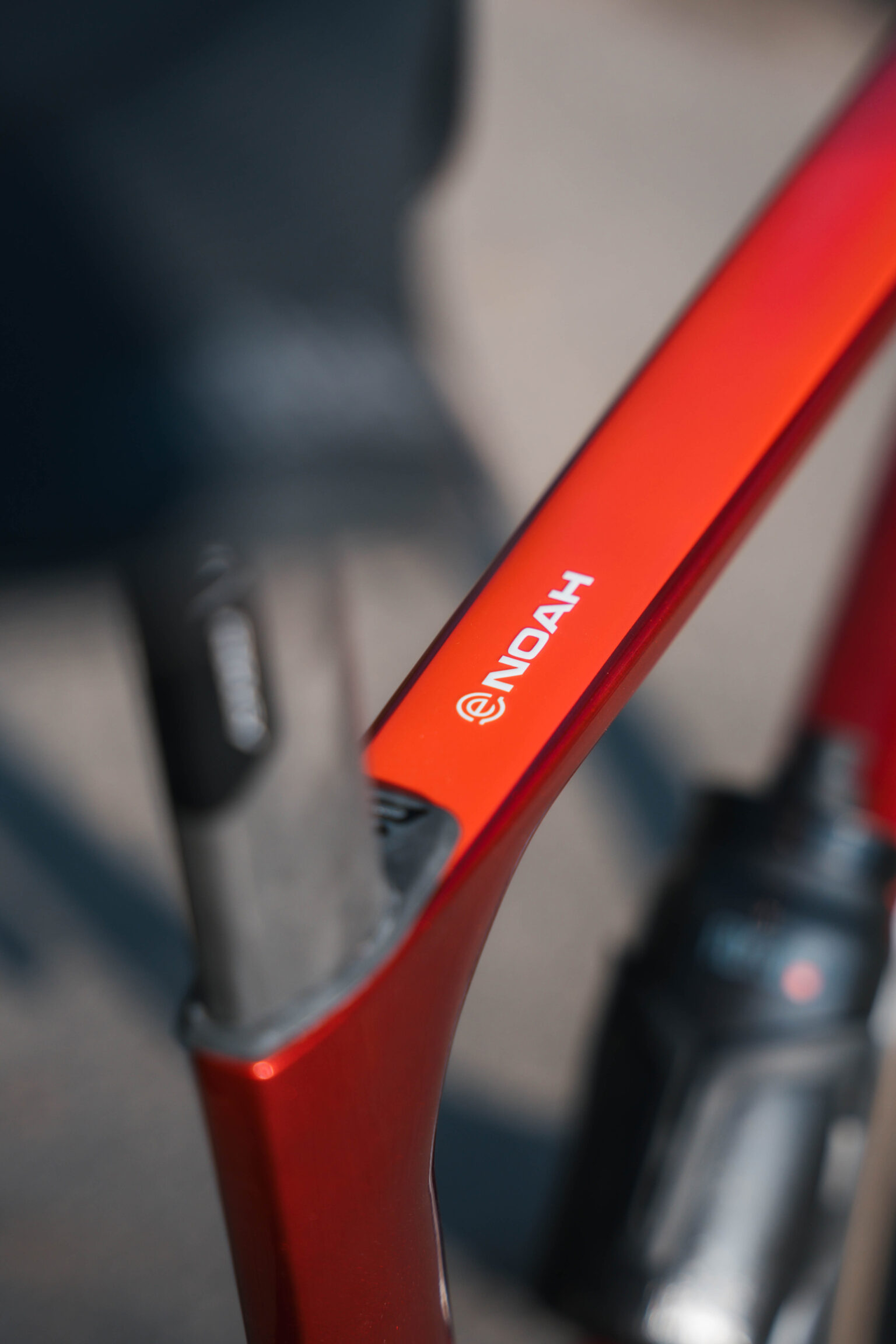 E-Noah branding