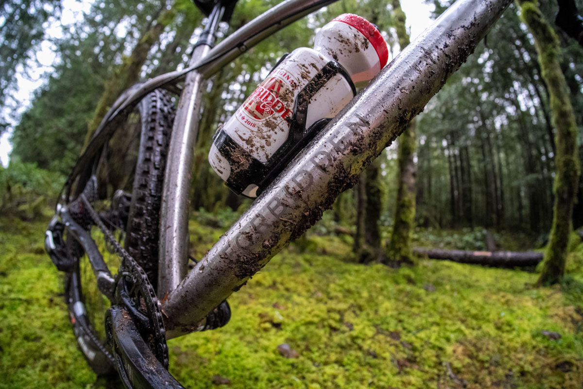 Forbidden Bike Co. Heathen, down tube