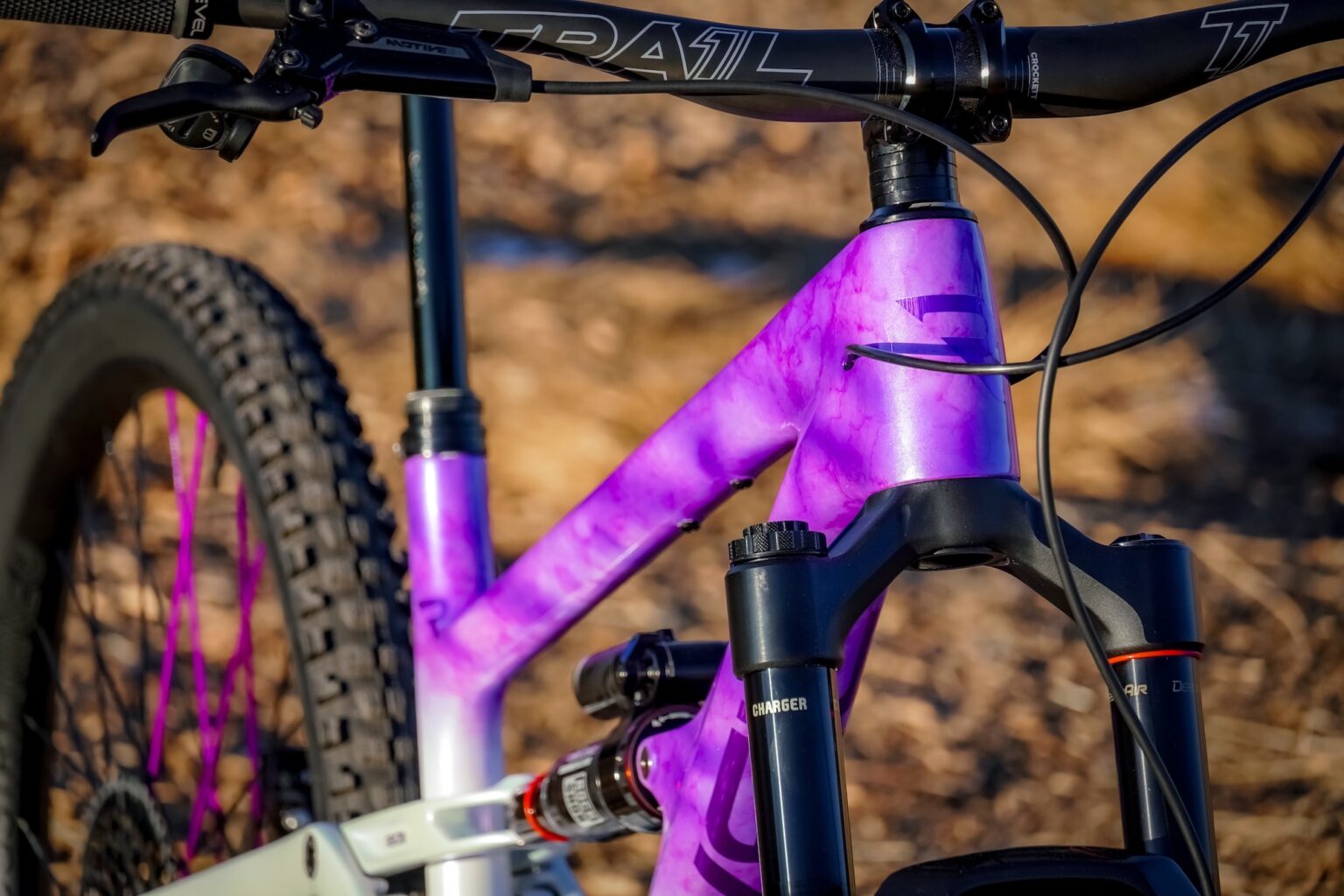 the custom paint on the Rasceal SL frame