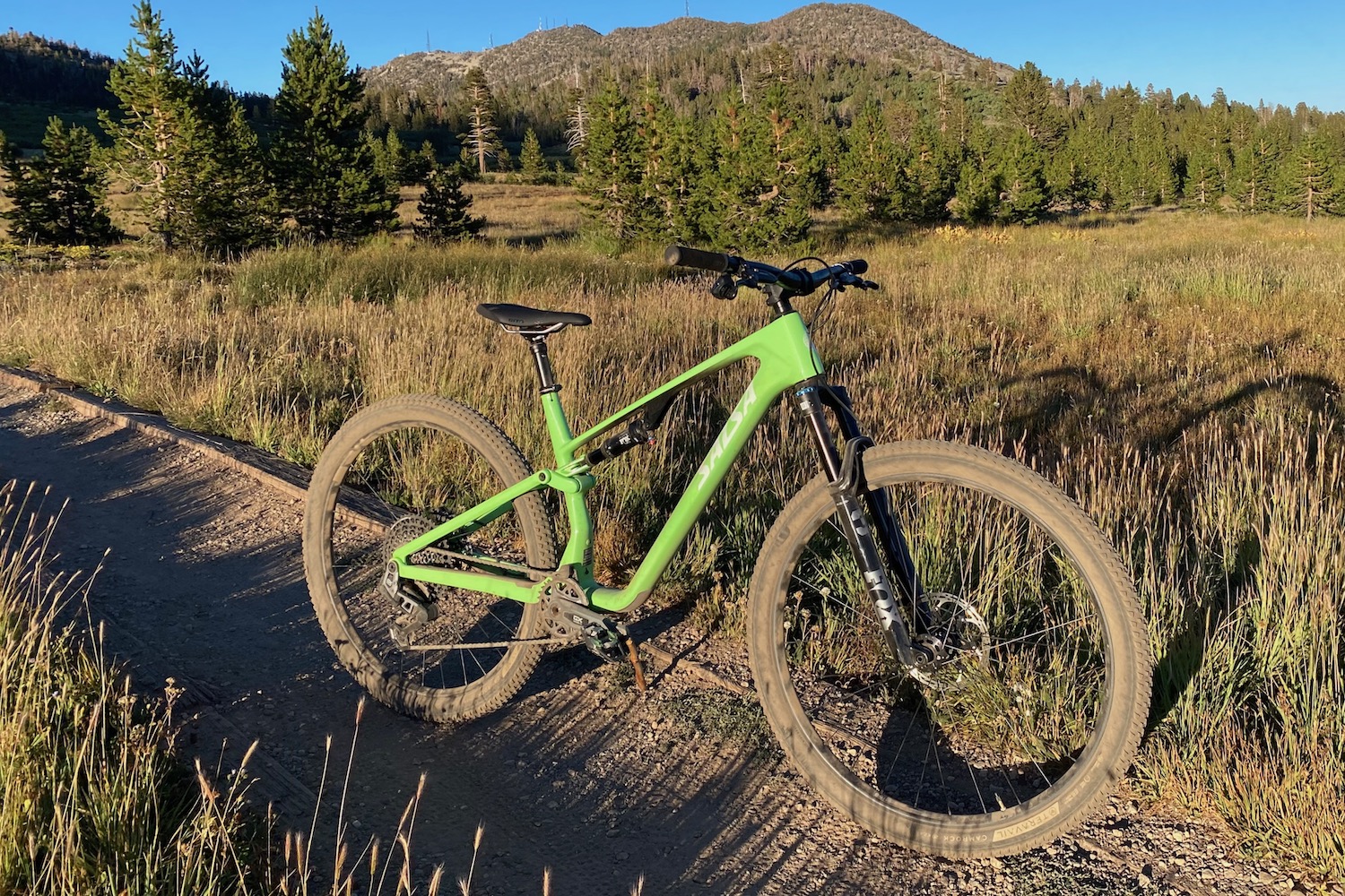 profile shot of the Salsa Spearfish in a meadow with pine trees behind