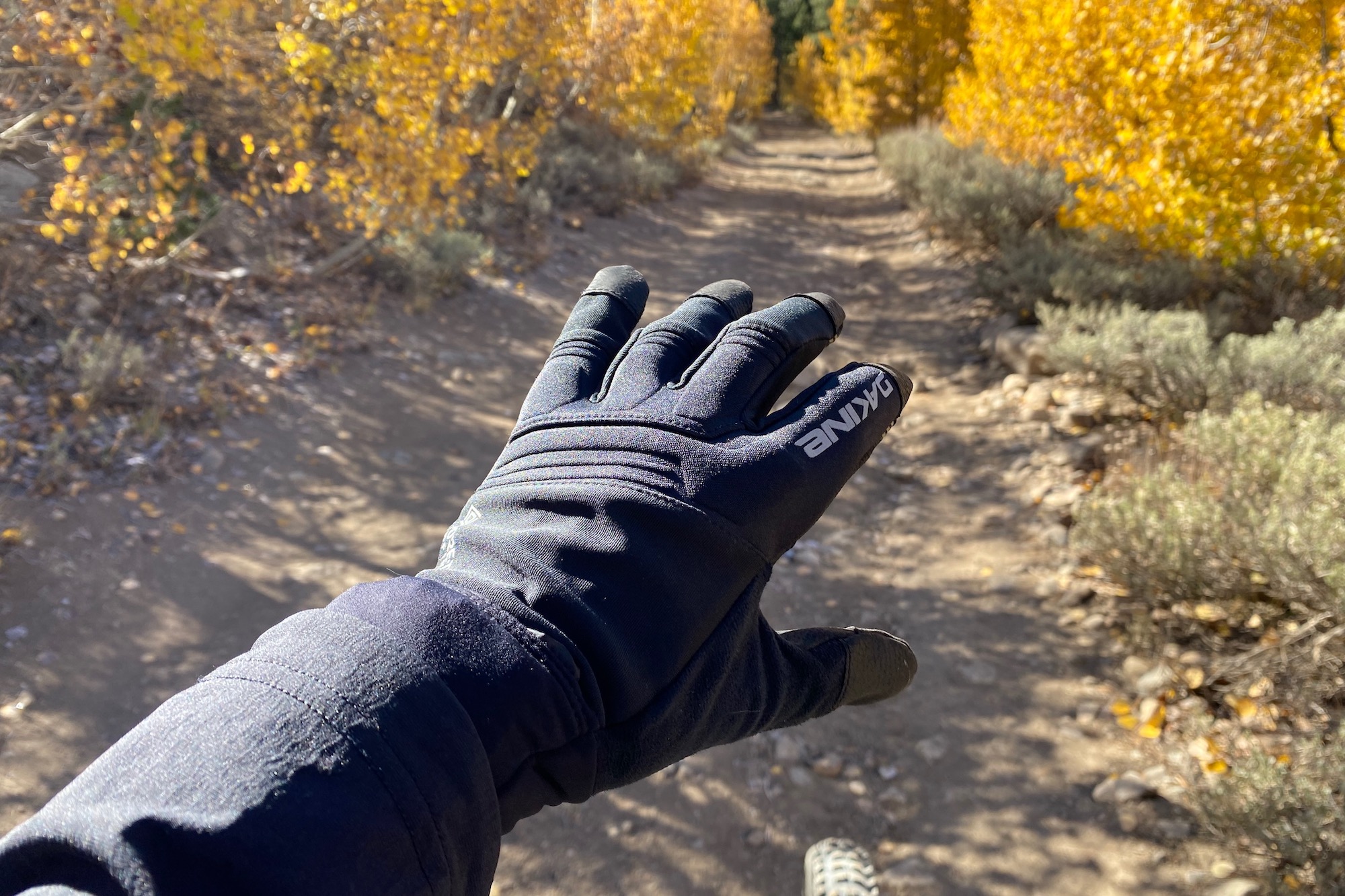 wearing the dakine white knuckle gloves with a dirt road and colorful aspens in the background.