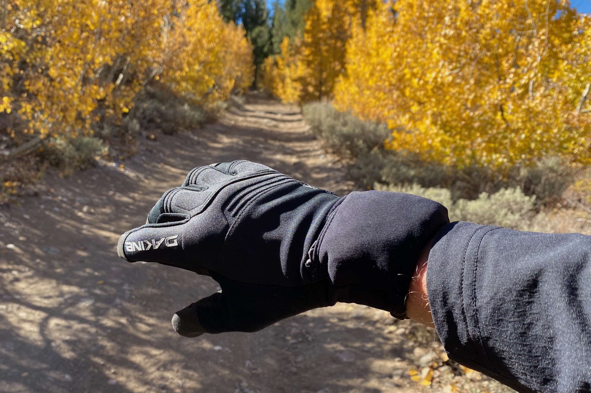 wearing the white knuckle gloves with a dirt road and some colorful aspens in the background
