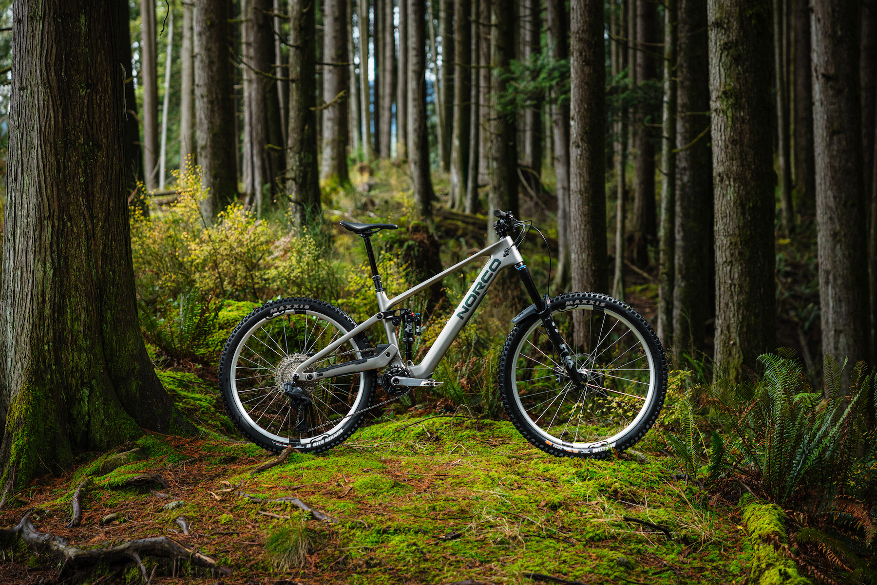 stock image of the Norco Sight VLT TQ in silver standing in a forest.