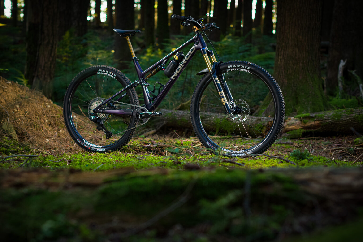Nobl Signature 36 wheels on Norco Revolver