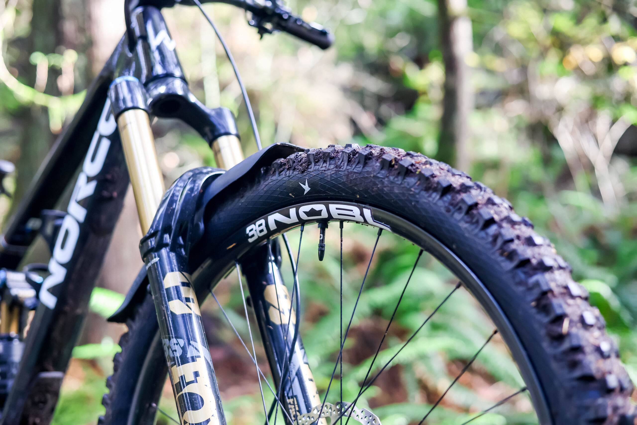 Nobl's new Signature Series wheels, the Signature 38 is meant for enduro and gravity riding