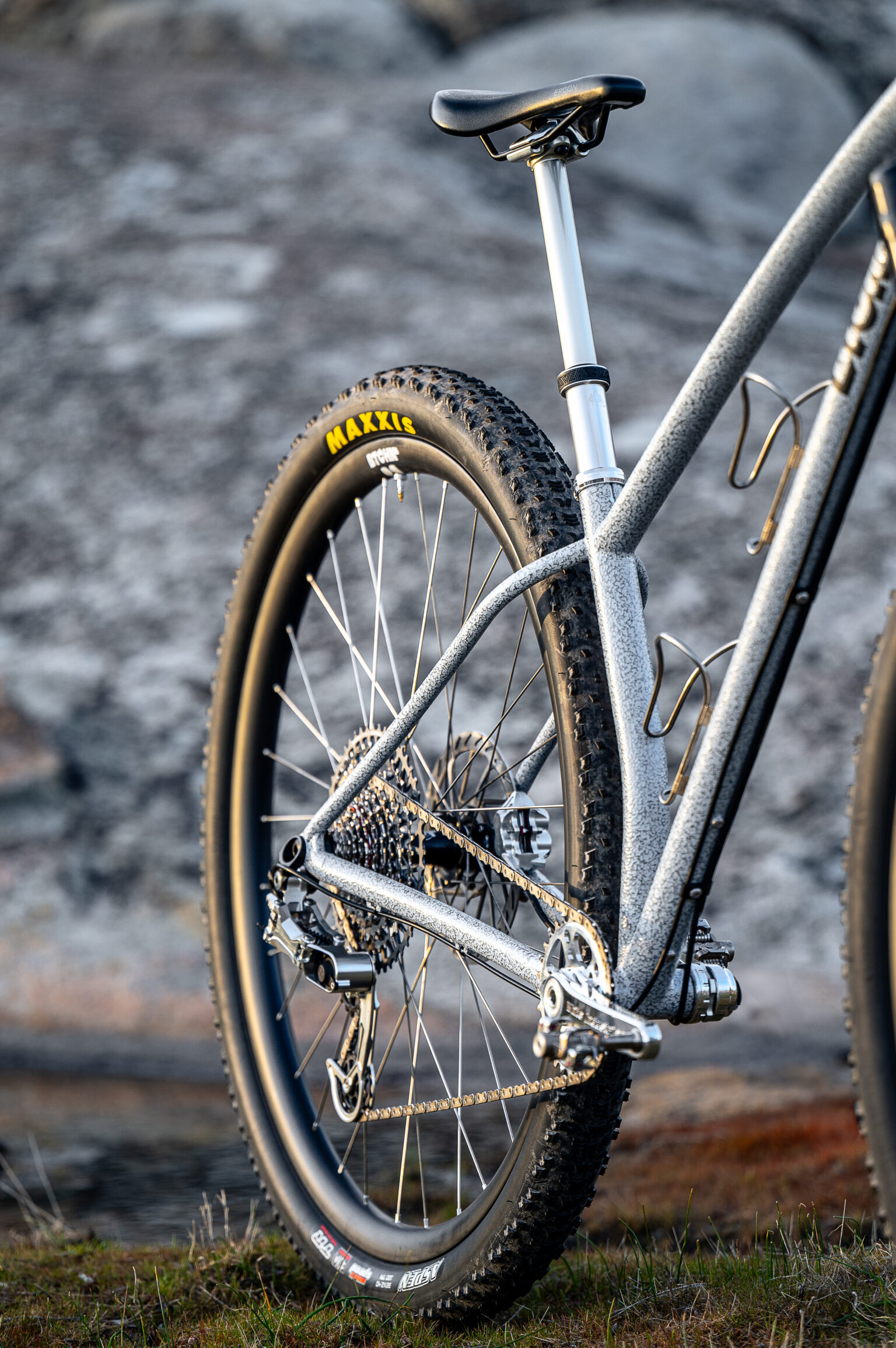 Btchn Alpina 32" hardtail