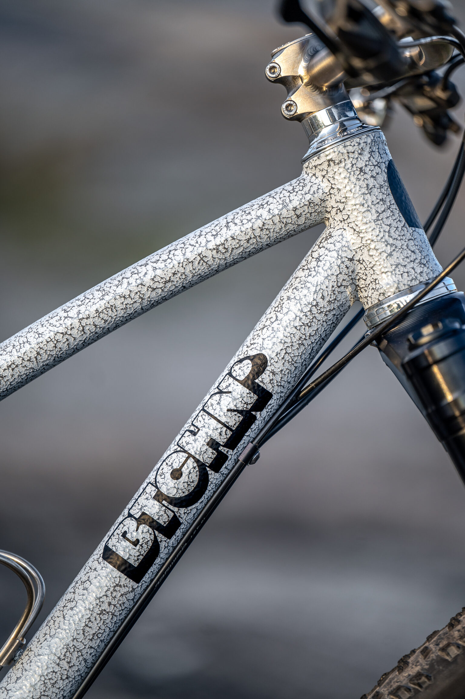 btchn logo on Alpina 32" hardtail