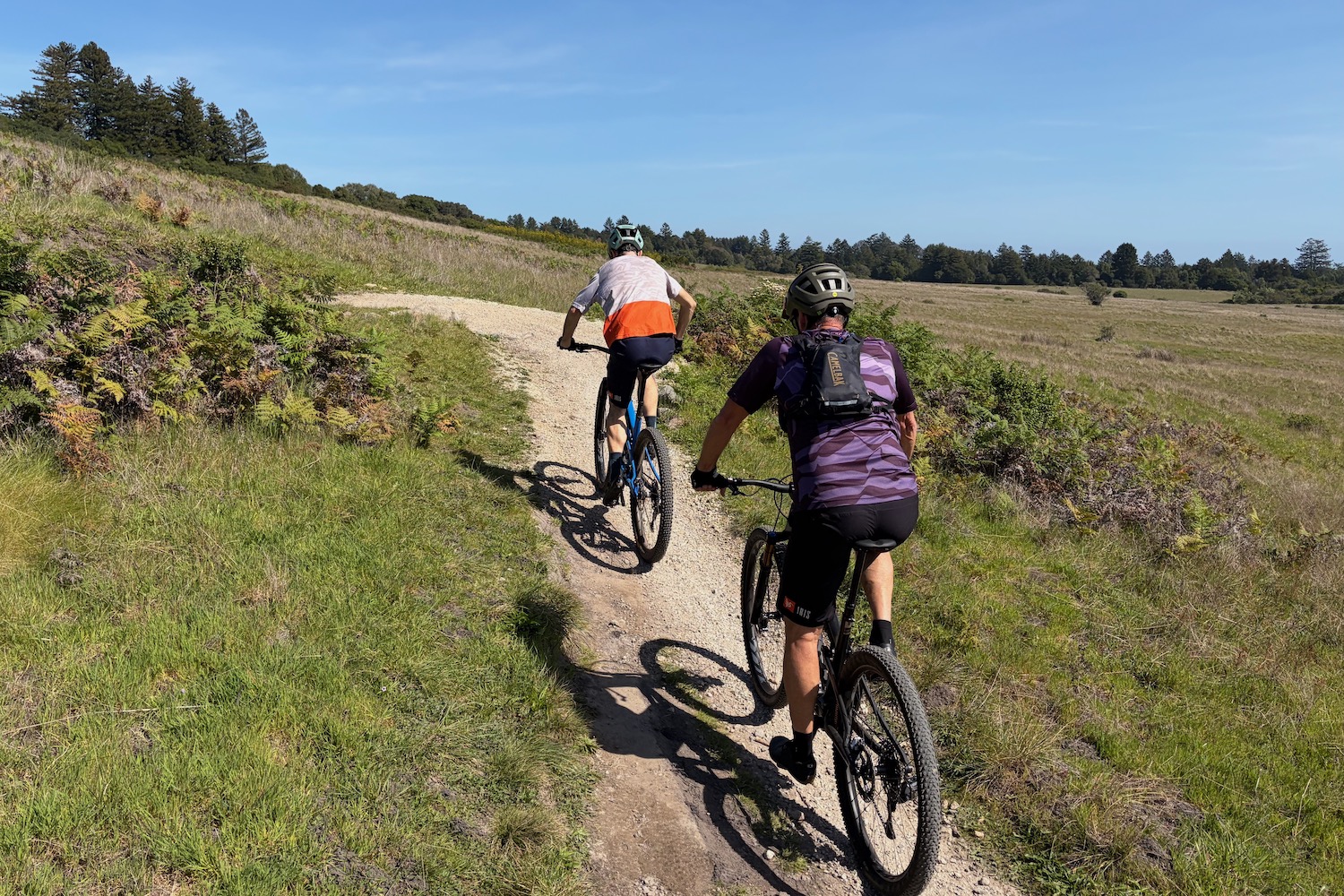 Colin Hughes and Scot Nicol riding up a trail through a meadow on the new Ripley SL.