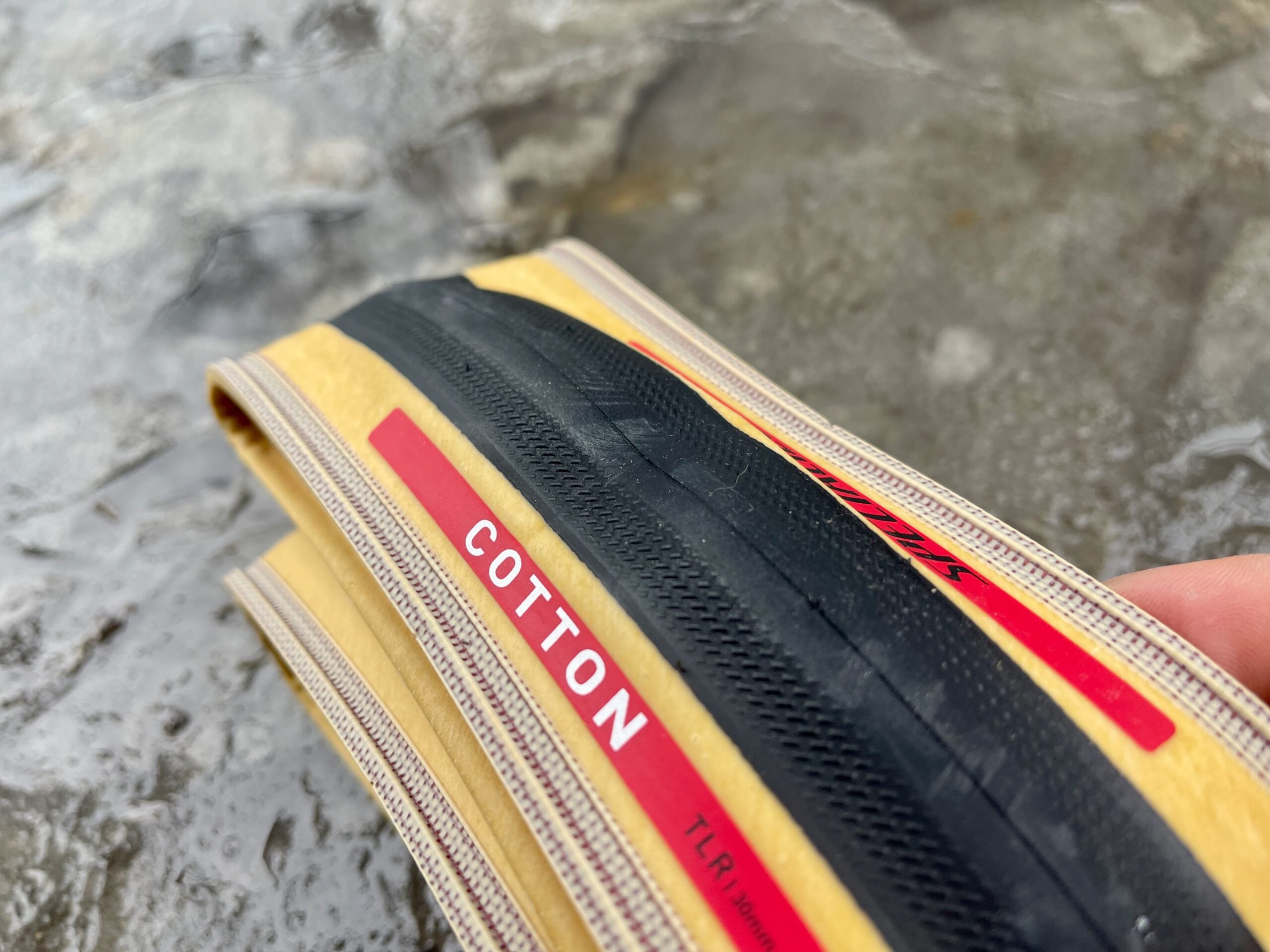 Specialized Cotton TLR Race logo