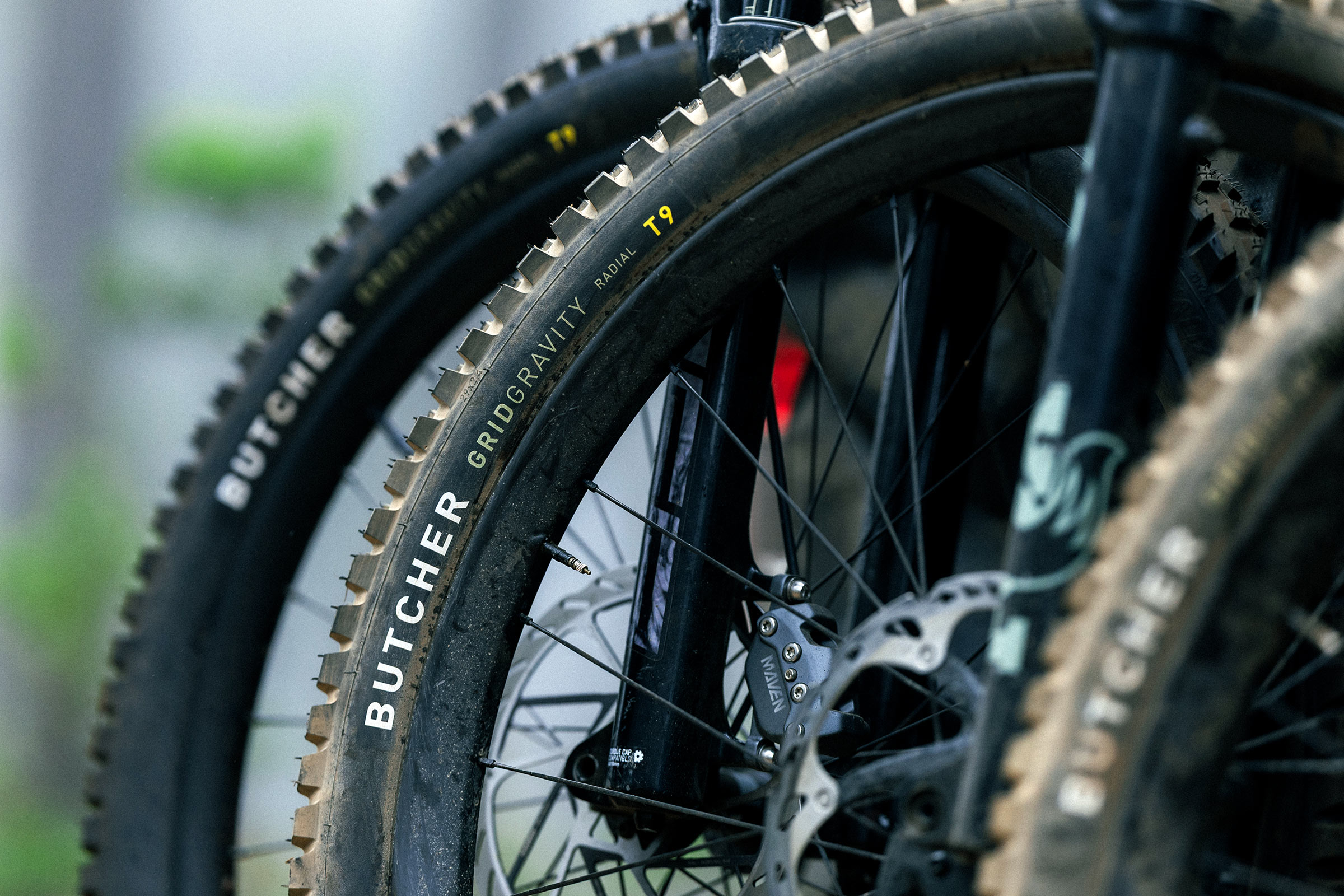 Specialized Grid Gravity Radial mountain bike tires: Butcher & Eliminator