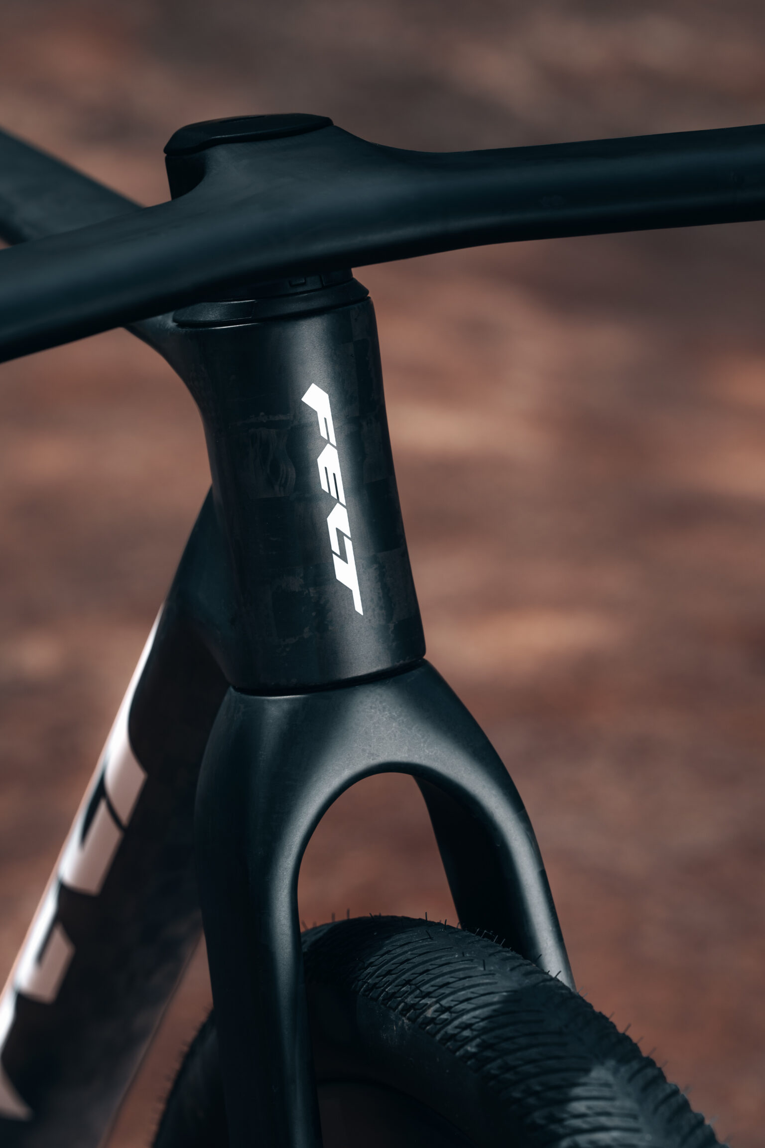 The new Felt Breed