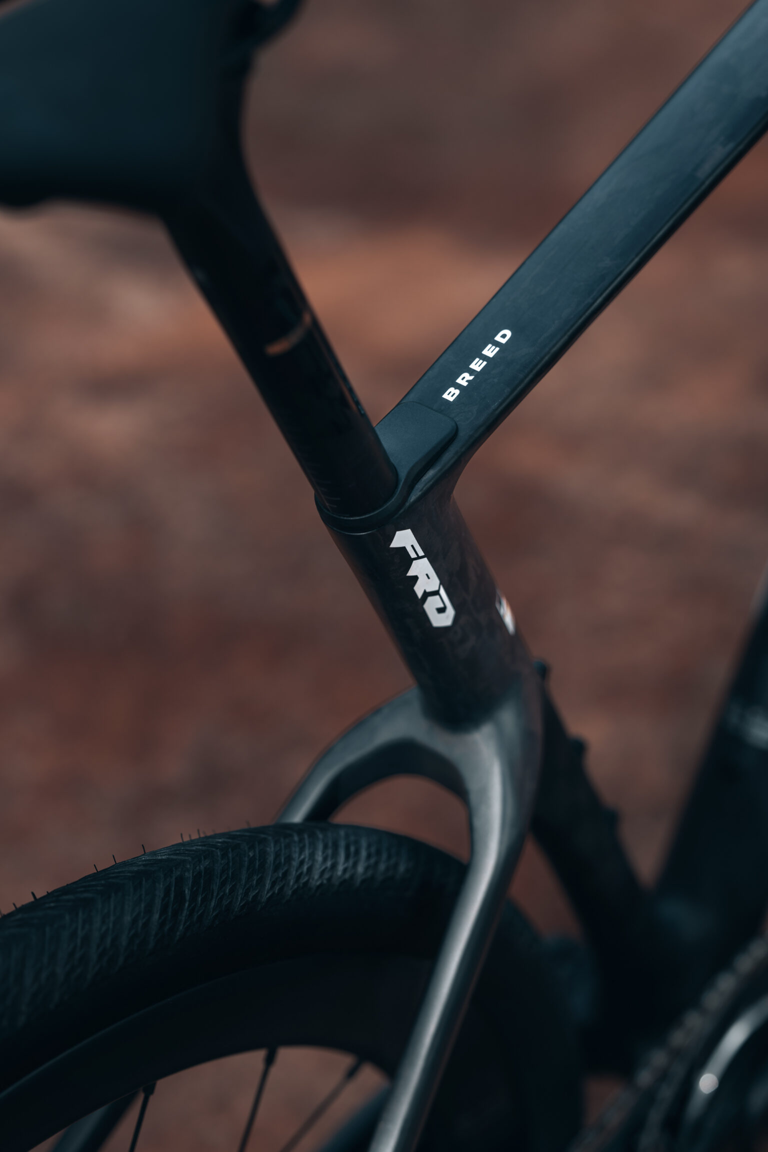 The new Felt Breed