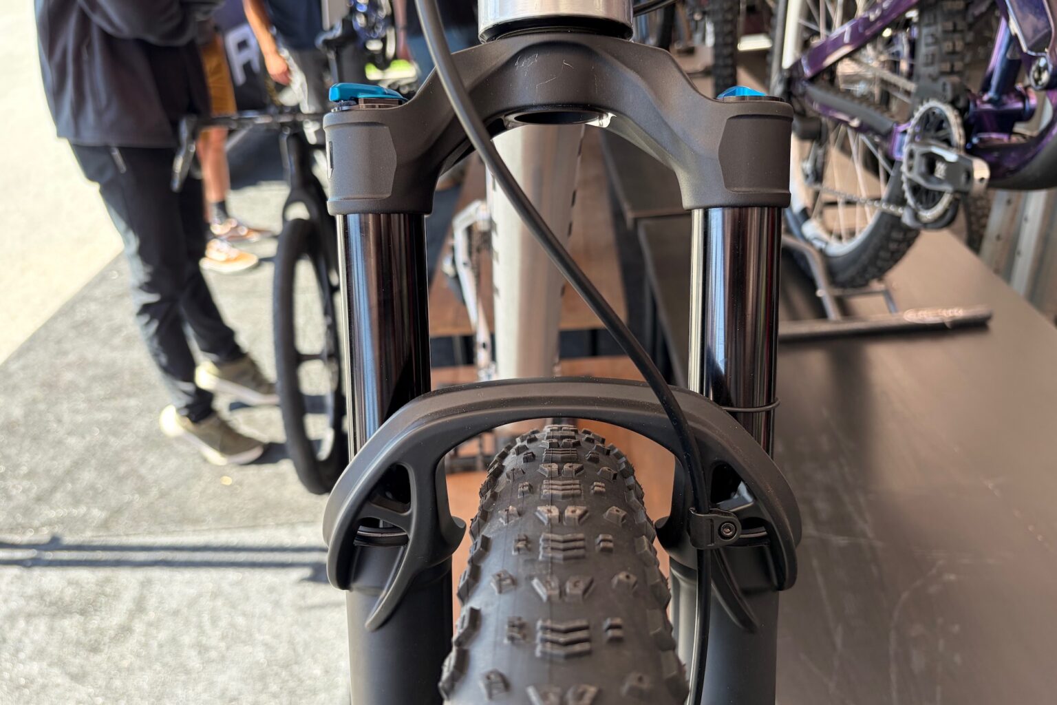 the generative arch design on the Fox 32" fork.