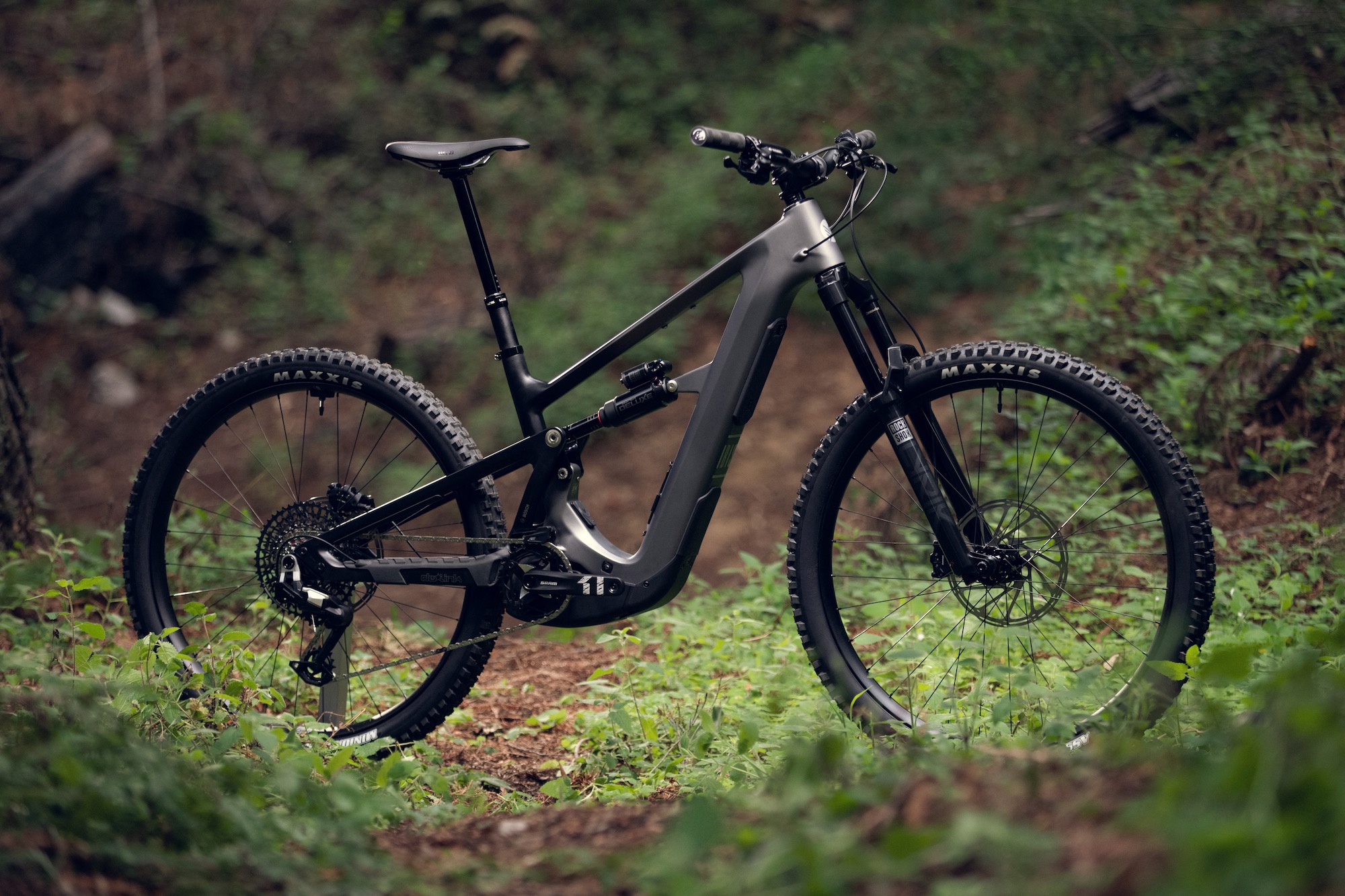 profile shot of the Ibis Oso TR in the forest.