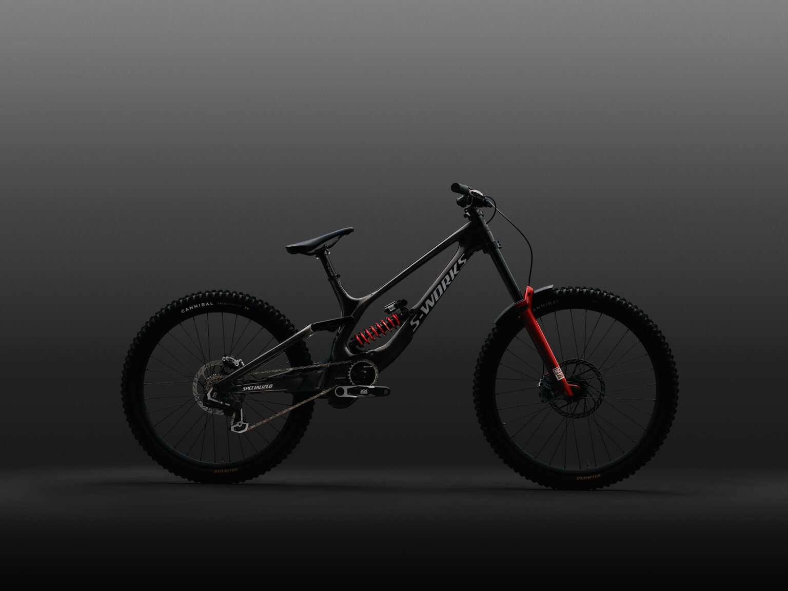 New Specialized S-Works Demo 11