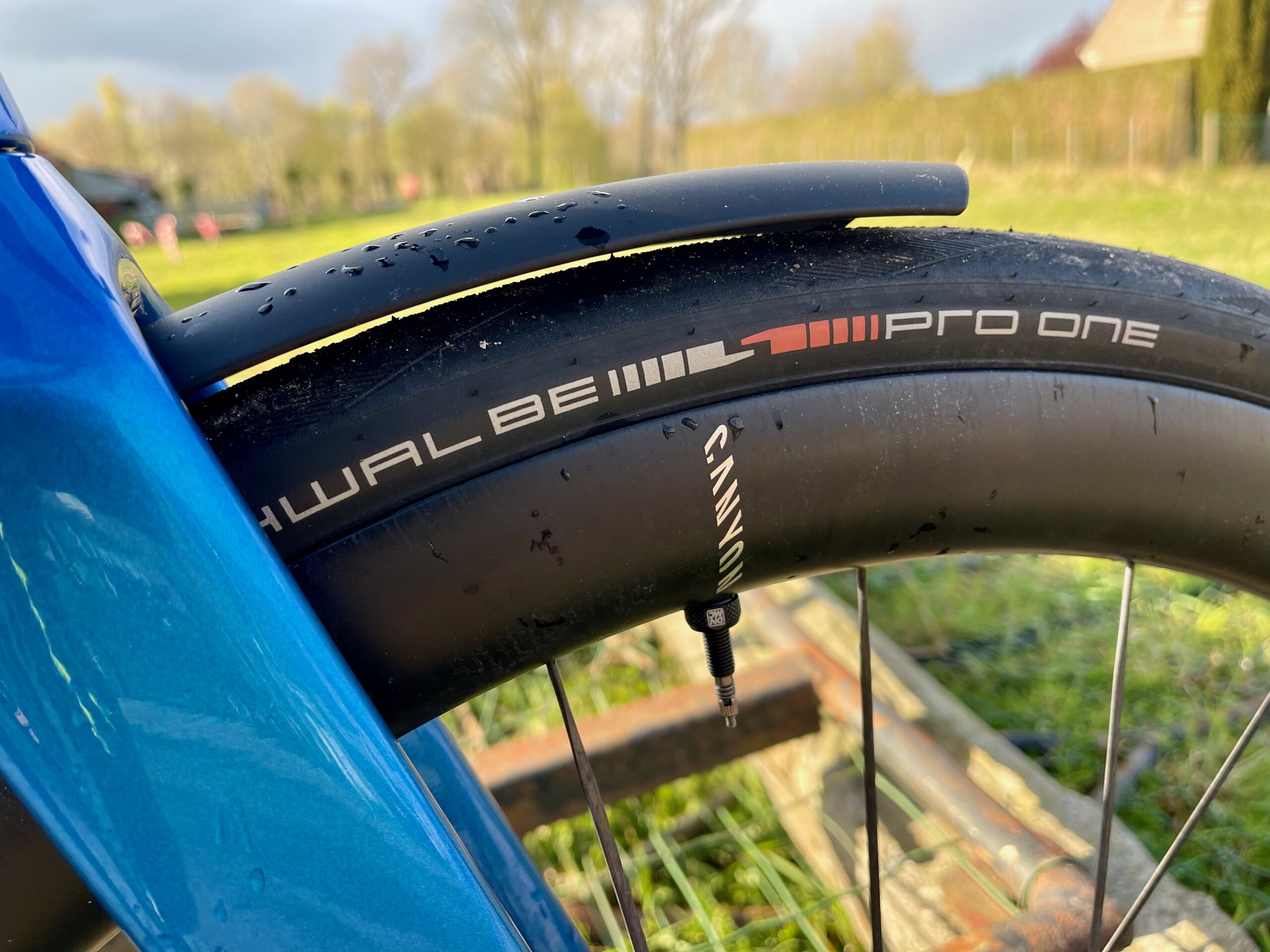 Canyon Endurace CF SLX News wheels