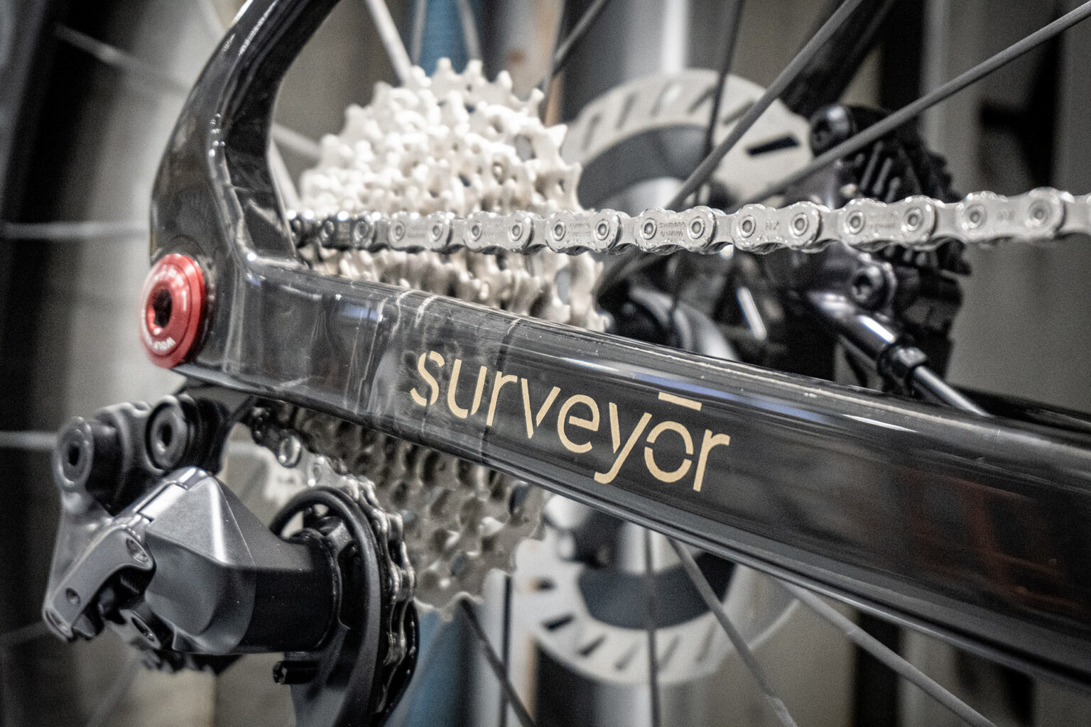 closeup details or bridge bike works surveyor all-road bike chainstay.