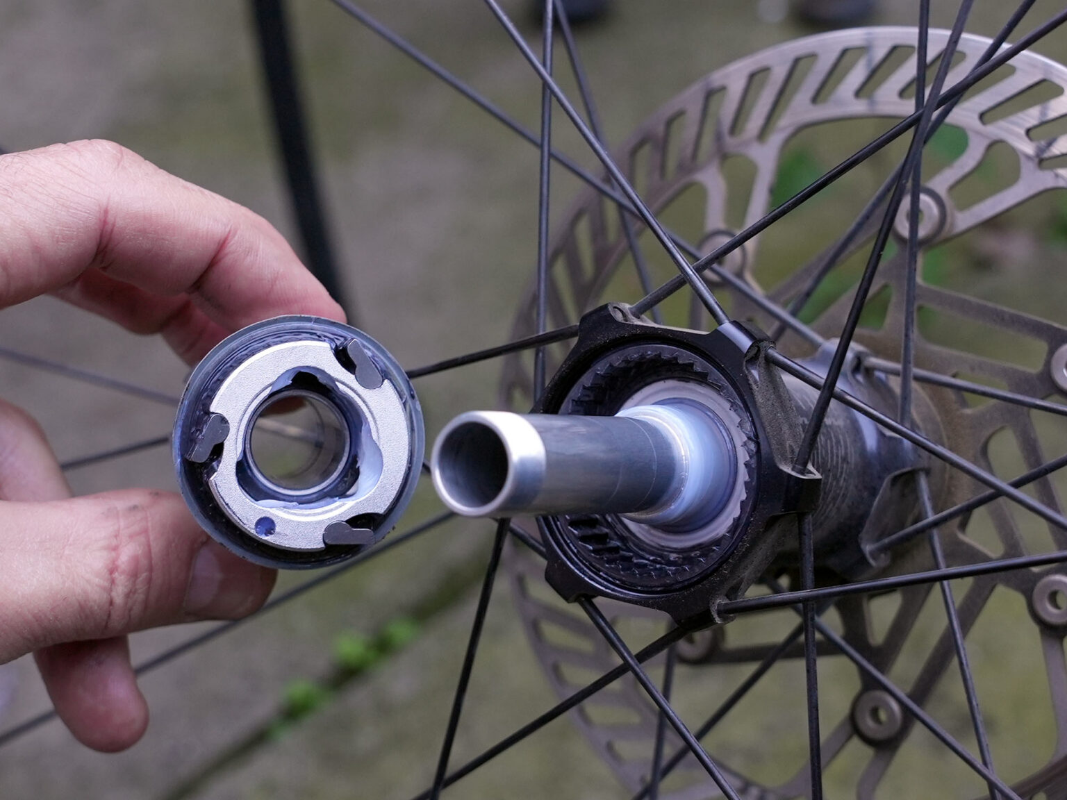 internals freehub details on fulcrum rapid red carbon gravel wheels.