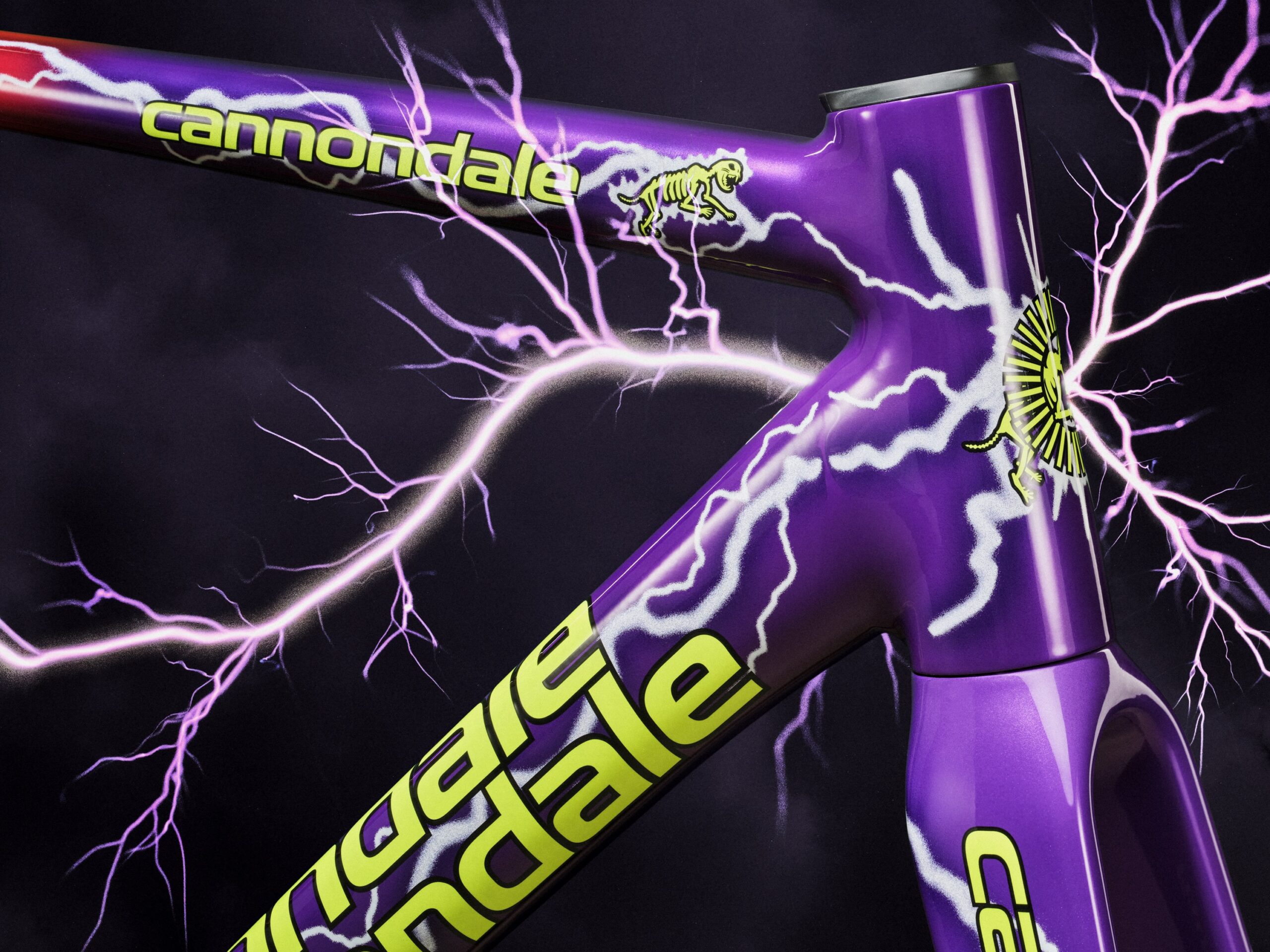 Cannondale CAAD 14 Dream Team purple detail