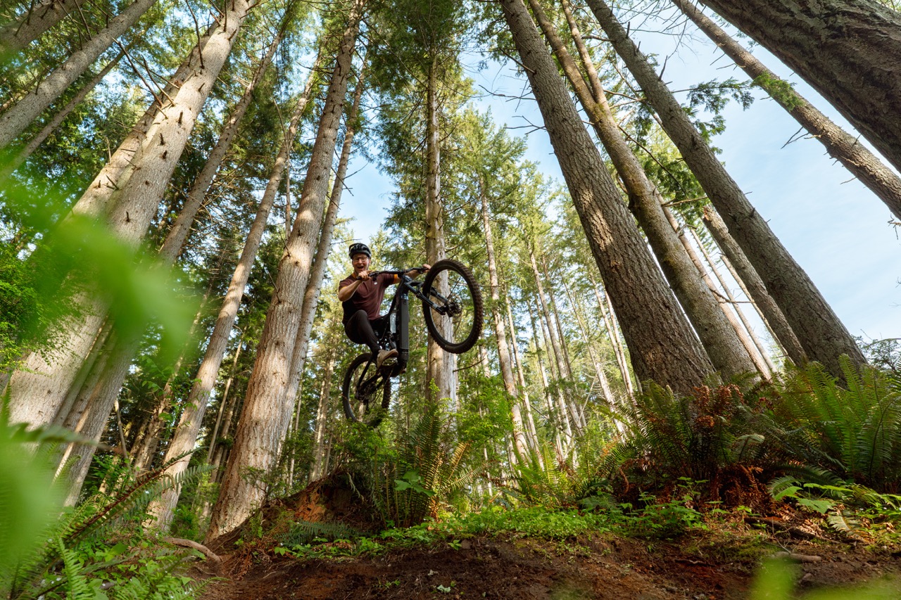 Marin Bikes Alpine Trail E jump