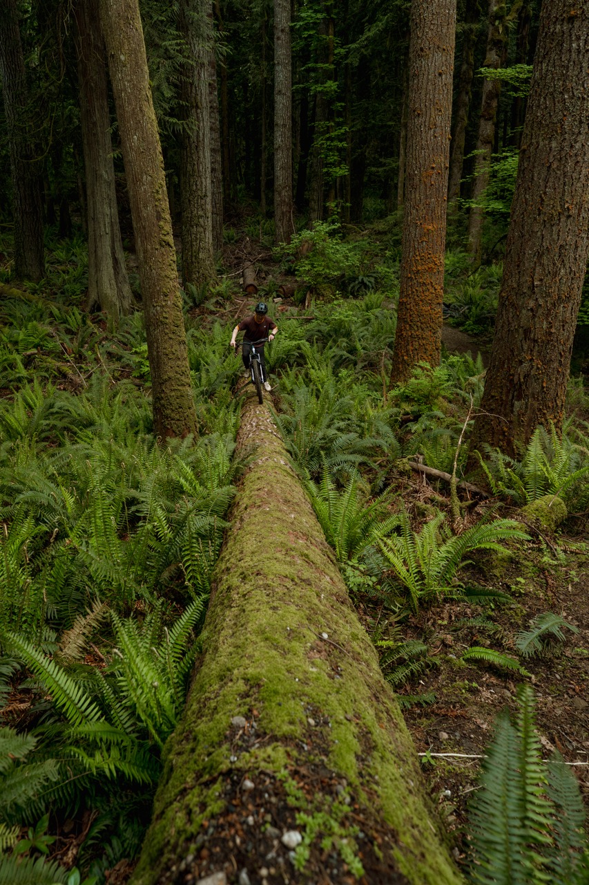 Marin Bikes Alpine Trail E log crossin