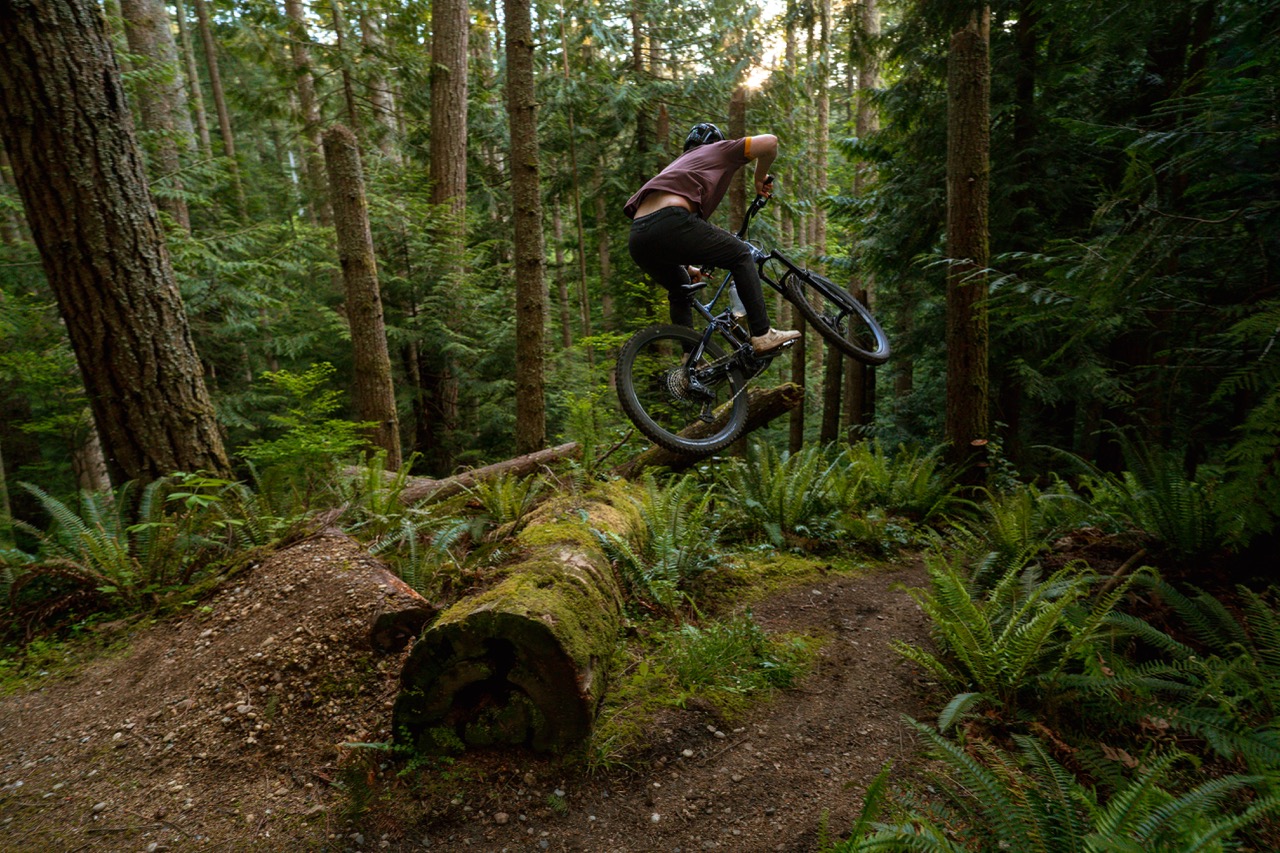 Marin Bikes Alpine Trail E log jumpin