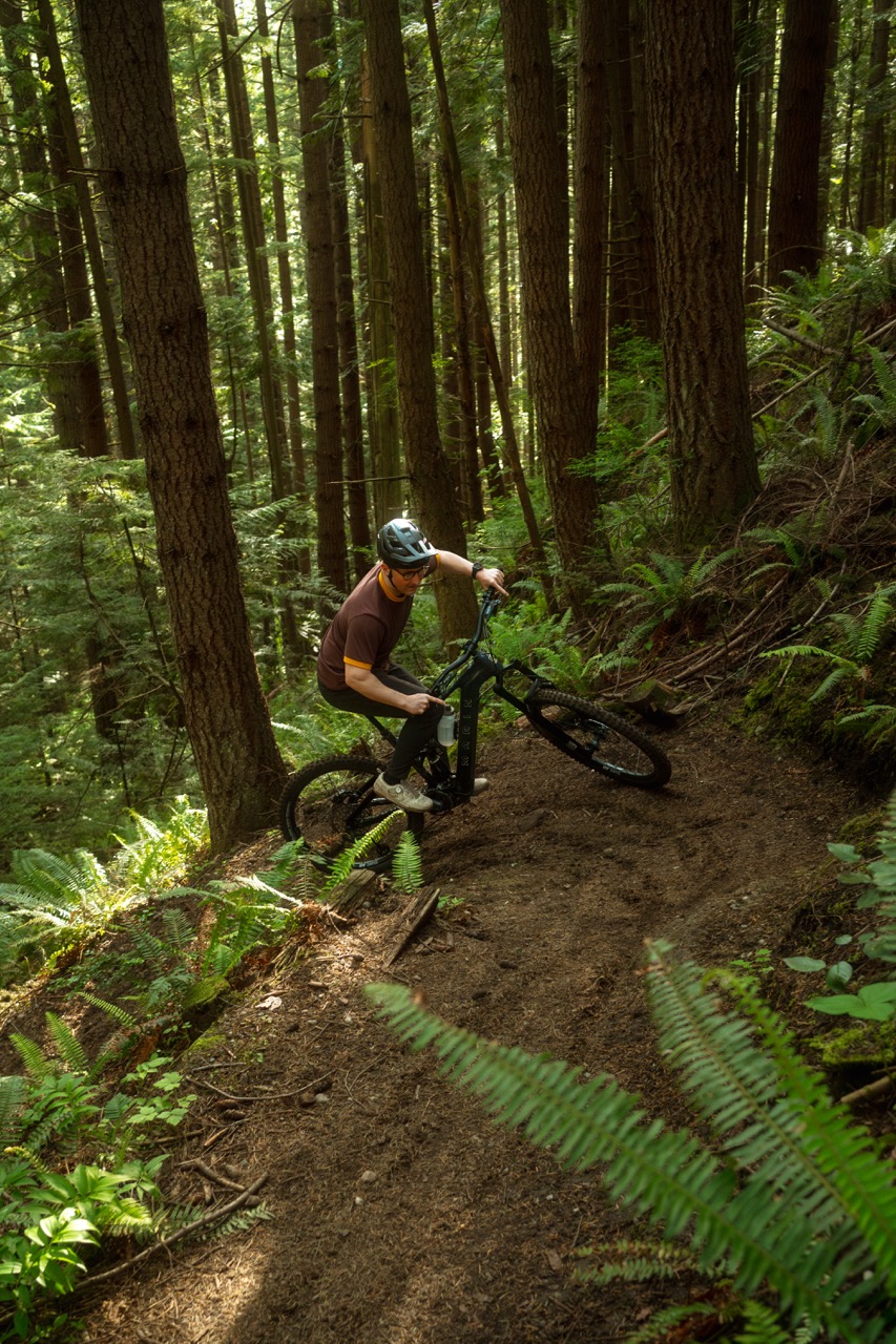 Marin Bikes Alpine Trail E switch back