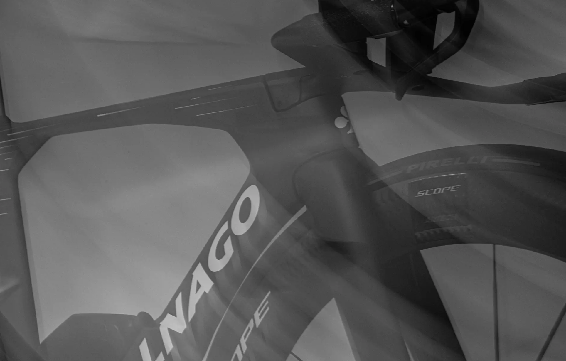 TT2 Colnago head