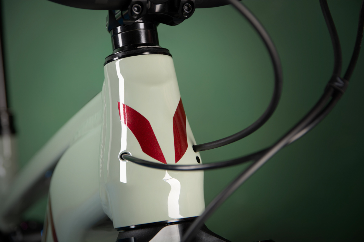 Devinci E-Spartan, cable routing