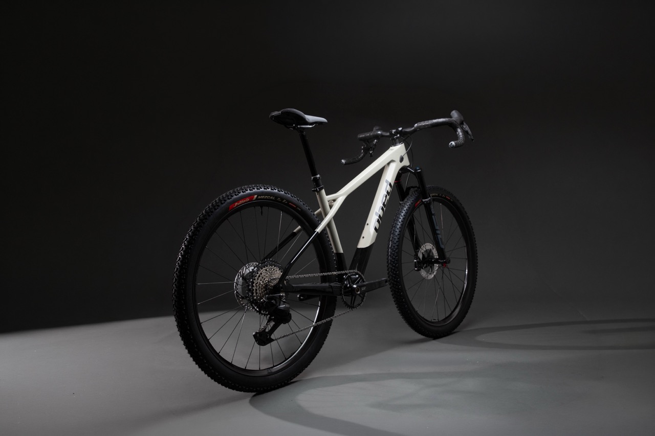 Obed Bikes New TTR Gravel Bike back side